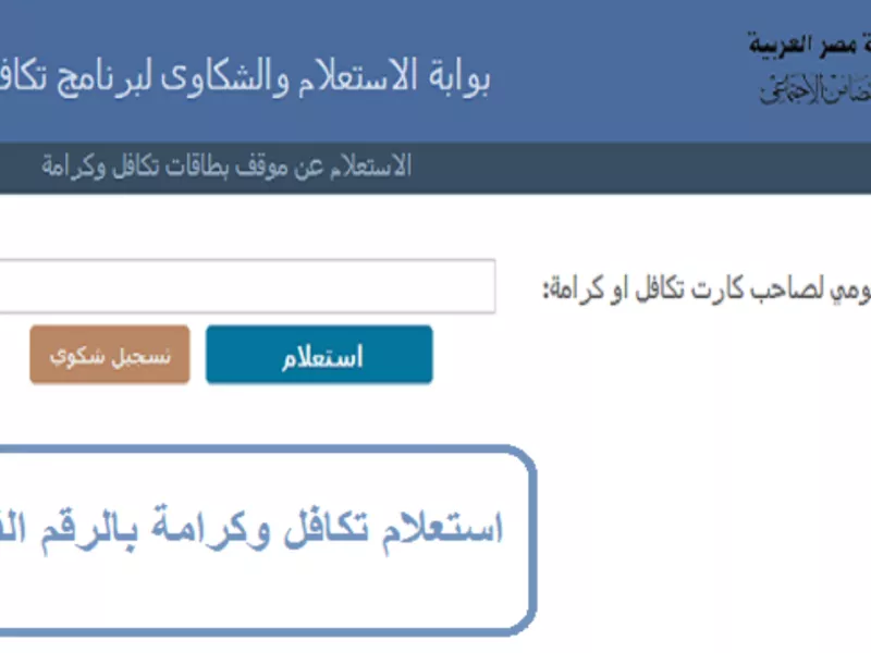 egypt social support program online inquiry