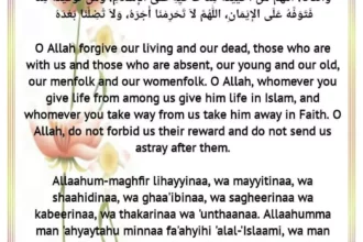 دعاء لأمي المتوفية يوم الجمعة يخفف الشوق ويضيء قبرها بالرحمة 4 f6748748222b7281c563e11abe954c45