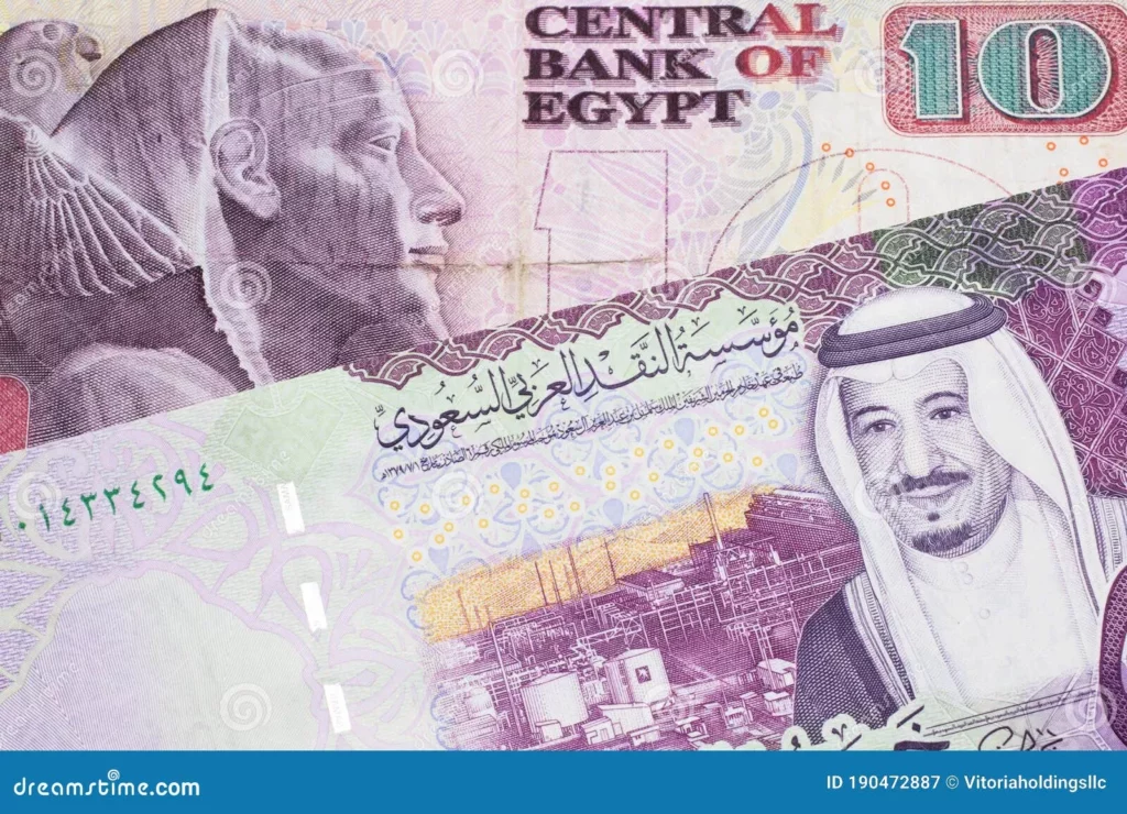 five saudi riyal bank note egyptian pound ten bill colorful arabia close up macro 190472887