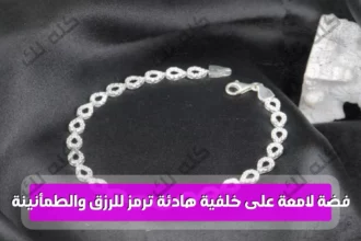 تفسير حلم الفضة في المنام بشارة رزق حلال ومعاني الخير الخفية 8 hopeccsa 73fa645454e7ec2b1caafb6842f4abf3