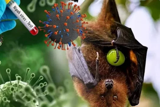 فيروس نيباه القاتل: مرض نادر يرفع حالة التأهب الصحي في آسيا 59 Nipah virus microscope illustration