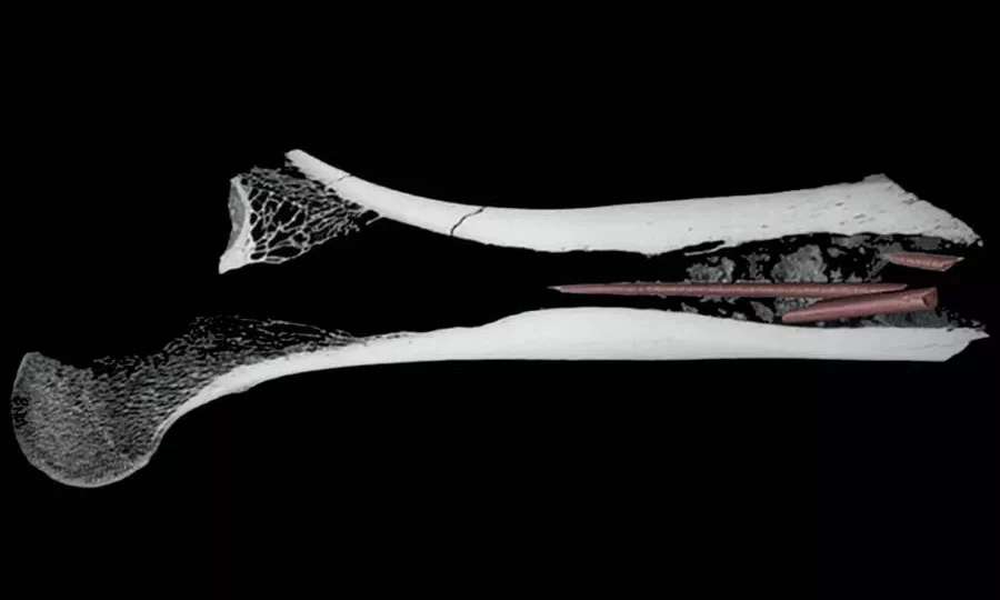 عمرها 60 ألف عام.. اكتشاف أقدم سمّ للسهام في العالم على أسلحة من العصر الحجري 1 oldest arrow poison