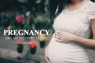 تفسير حلم الحمل بين الخير والمسؤولية ودلالاته العميقة في الرؤى 9 pregnancy dream interpretation dream meaning