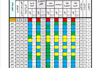 نتيجة الصف الثالث الابتدائي 2026 بالجيزة عبر الرقم القومي 2 primary students exam results online