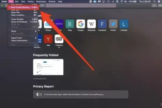 Privacy Browser يمنحك تصفحًا آمنًا على أندرويد دون تتبع 2 Privacy Browser Android app