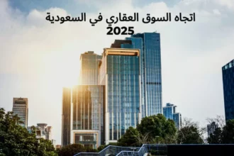 الاستثمار العقاري في السعودية: فرص ذكية ونصائح لتقليل المخاطر 4 Saudi Arabia real estate skyline investment