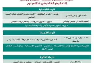 الاستعلام عن نتائج الفصل الأول 1447 برقم الهوية عبر نور ومدرستي 2 saudi education online results