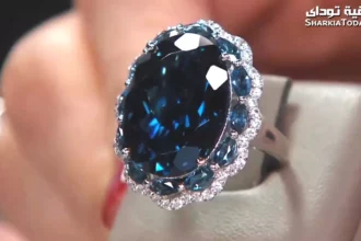 أغلى حجر كريم في العالم يغير تاريخ الأحجار النادرة 2 star sapphire gemstone sri lanka