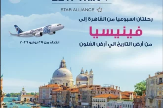 رابط نتائج صفوف النقل 2026 بالقاهرة وخطوات الاستعلام 1 students checking school results online