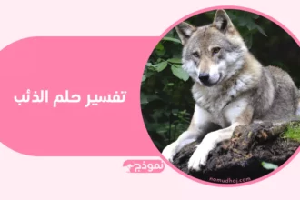تفسير حلم الذئب في المنام: رسائل تحذير ودلالات النجاة 2 wolf in dark forest