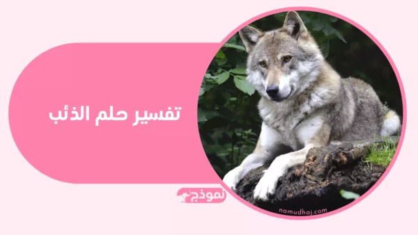 تفسير حلم الذئب في المنام: رسائل تحذير ودلالات النجاة 36 wolf in dark forest