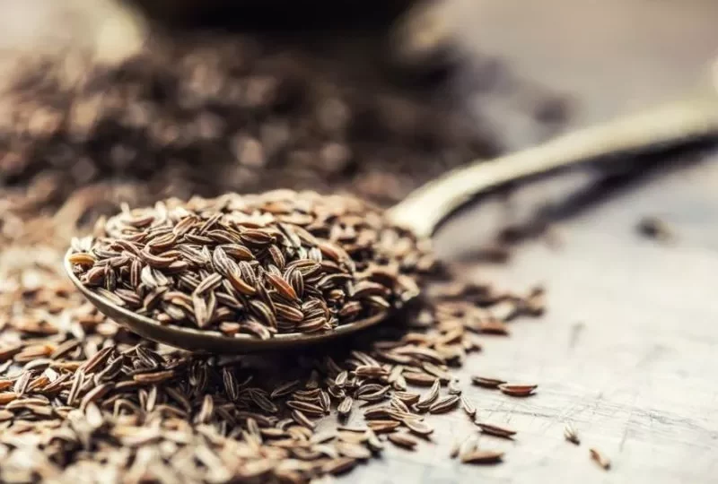 فوائد بذور الكمون اليومية وكيف يؤثر تناولها على صحتك 1 cumin seeds health benefits