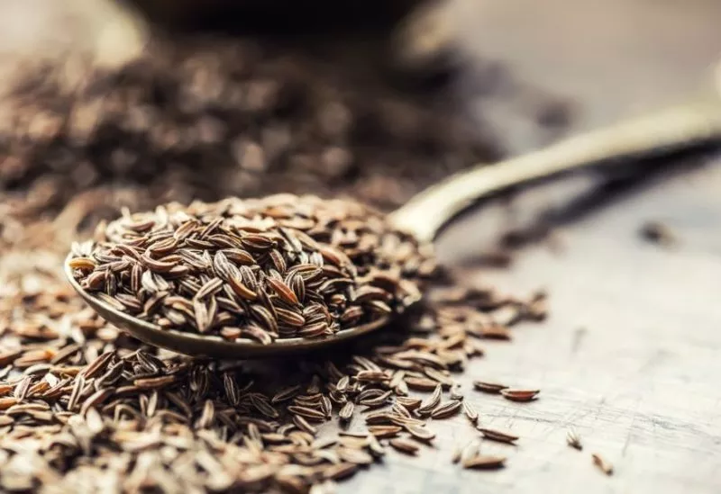 cumin seeds health benefits
