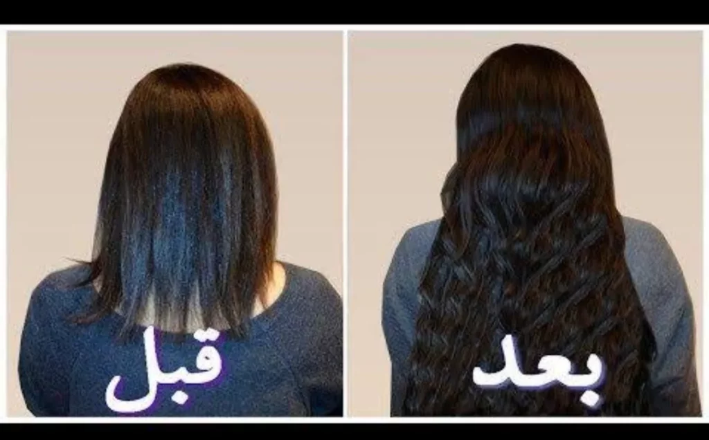 أطعمة تغذي الشعر من الجذور