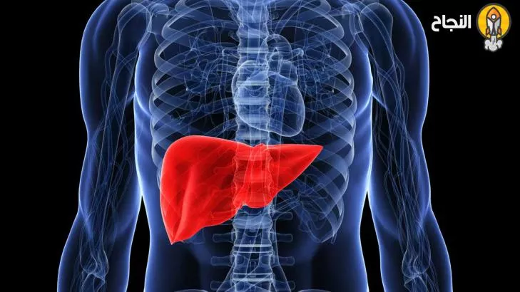 تشمع الكبد