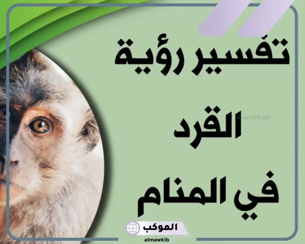 تفسير رؤية القرد في المنام