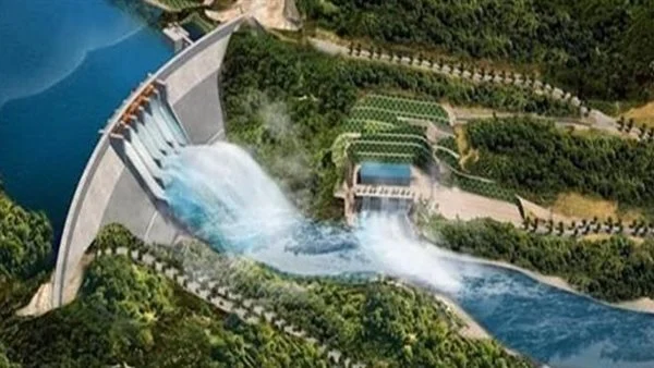 مشروعات مصر الاستراتيجية في أفريقيا تعيد رسم خريطة الاقتصاد 1 egypt africa economic projects