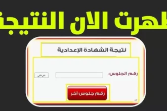 تحميل تطبيق محافظات مصر 2026 لمعرفة نتائج الامتحانات والخدمات 10 egypt education mobile app