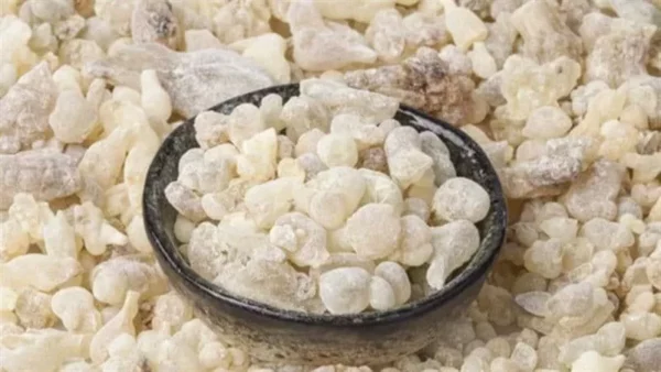 فوائد لبان الذكر للبشرة ووصفة طبيعية تعيد النضارة والشد 3 frankincense skincare