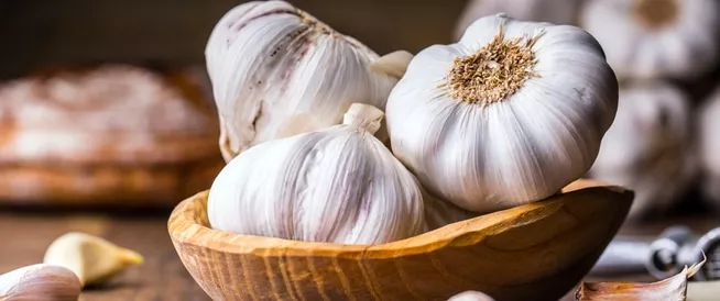 الثوم كنز طبيعي للصحة.. فوائد مذهلة للقلب والمناعة والجسم 1 garlic health benefits natural food