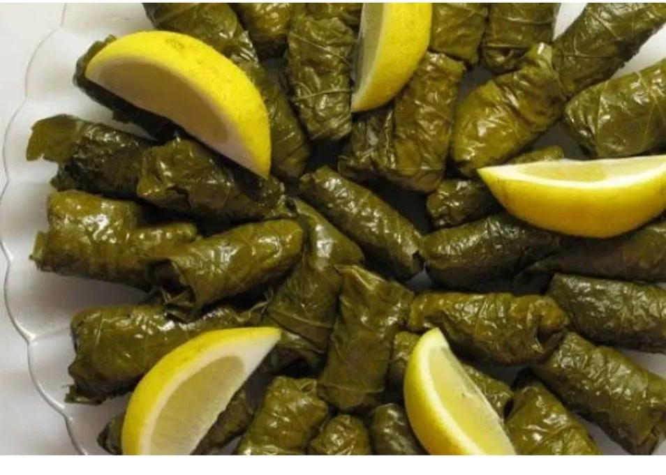 grape leaves cabbage rolls kitchen preparation
