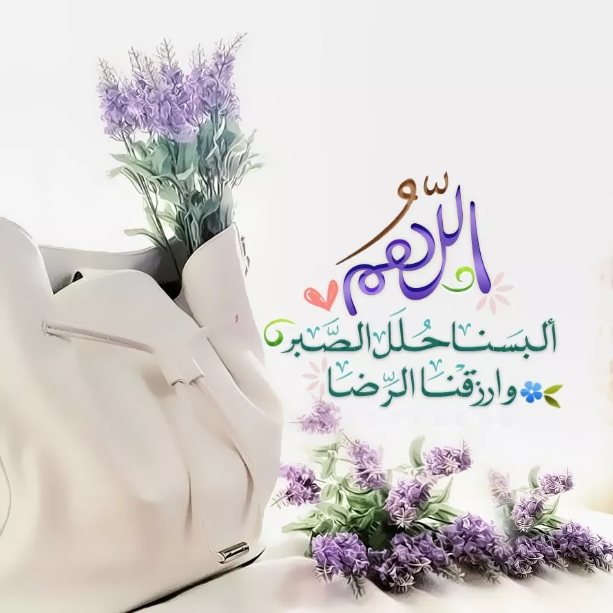 hands praying at sunset peaceful sky