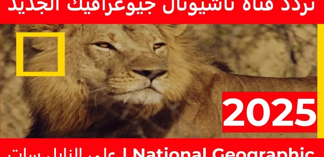 تردد قناة ناشيونال جيوغرافيك 2026 يفتح أبواب الاستكشاف HD 1 national geographic wildlife documentary