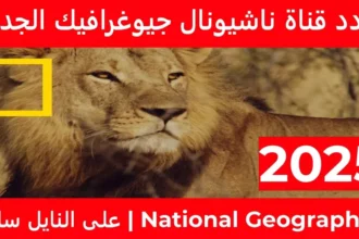 تردد قناة ناشيونال جيوغرافيك 2026 يفتح أبواب الاستكشاف HD 13 national geographic wildlife documentary