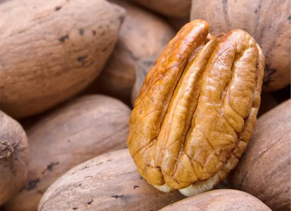 pecan nuts healthy snack