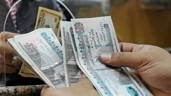 الاستعلام عن معاشات نوفمبر 2025 وقيمة الصرف خطوة بخطوة 19 pension payment egypt