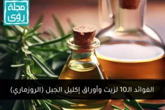 إكليل الجبل وفوائده الصحية المذهلة للجسم والذاكرة 10 rosemary herb leaves