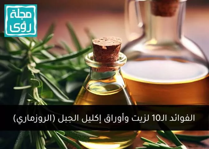 إكليل الجبل وفوائده الصحية المذهلة للجسم والذاكرة 1 rosemary herb leaves