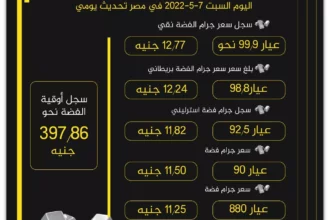أسعار الفضة اليوم وفرص الاستثمار الذكي وسط تقلبات السوق 9 silver bullion investment
