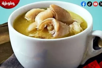 فوائد شوربة الكوارع للجسم وتأثيرها الحقيقي على الصحة 12 trotters soup traditional food