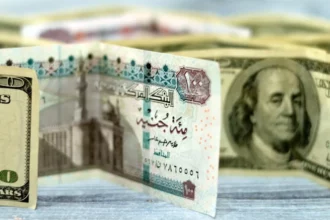 سعر الدولار اليوم مقابل الجنيه المصري بعد قمة شرم 2 US dollar and Egyptian pound banknotes