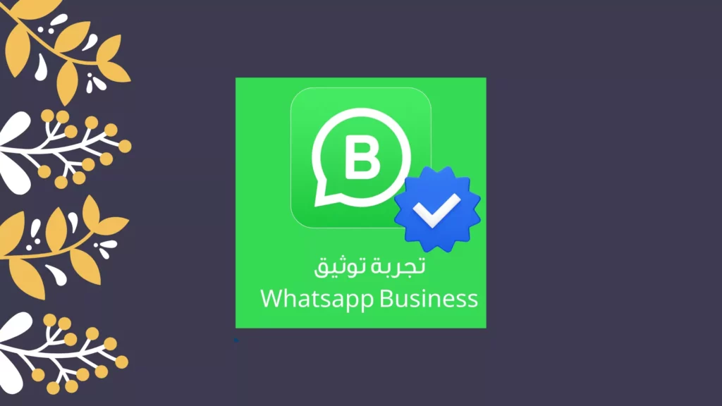 whatsapp app premium features smartphone screen