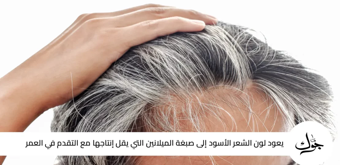 التخلص من الشعر الأبيض نهائيًا بطرق طبيعية تدعم صبغة الشعر 1 white hair natural treatment