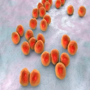 علاج مناعي جديد للأورام الخبيثة