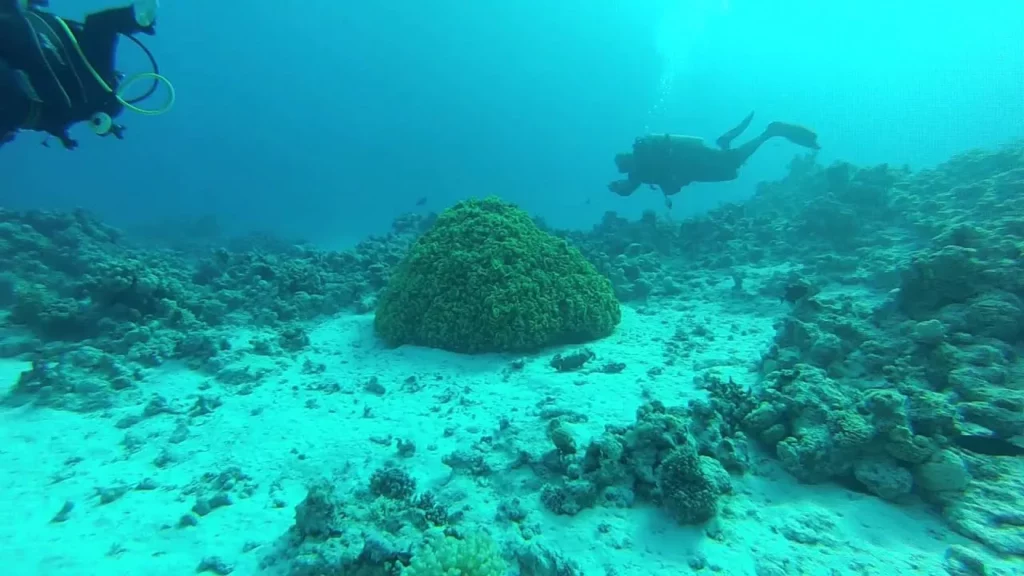 أغرب مخلوقات الفولكلور العالمى