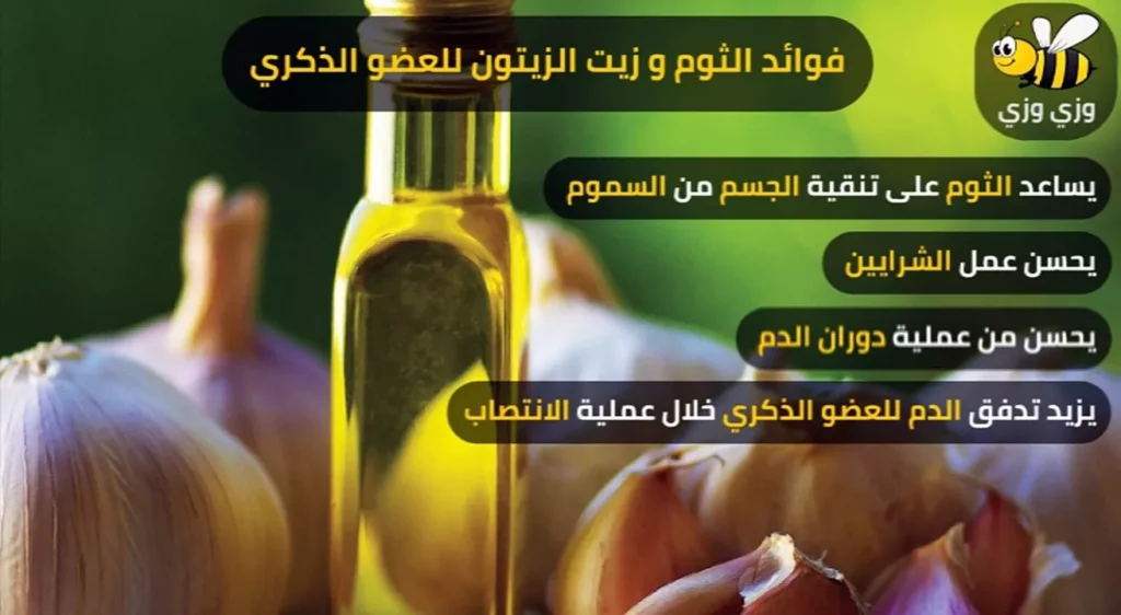 فوائد الثوم وزيت الزيتون للشعر