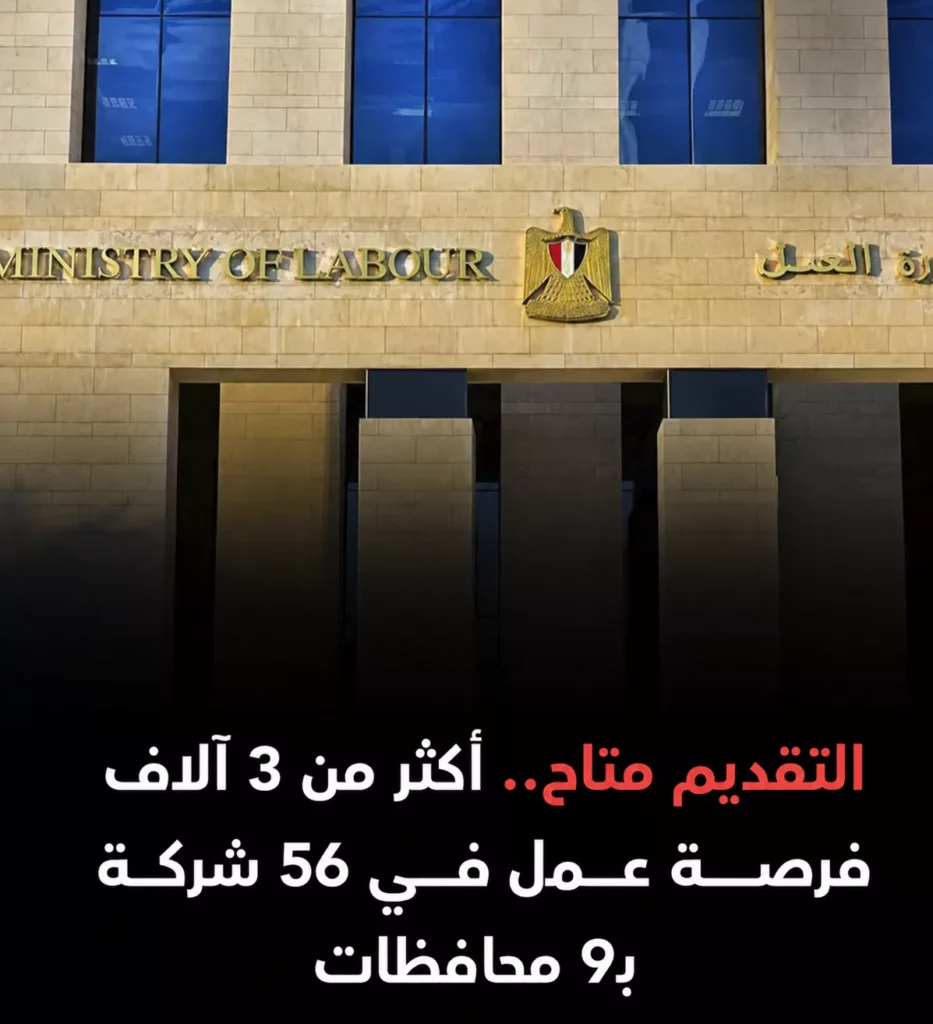 3032 فرصة عمل