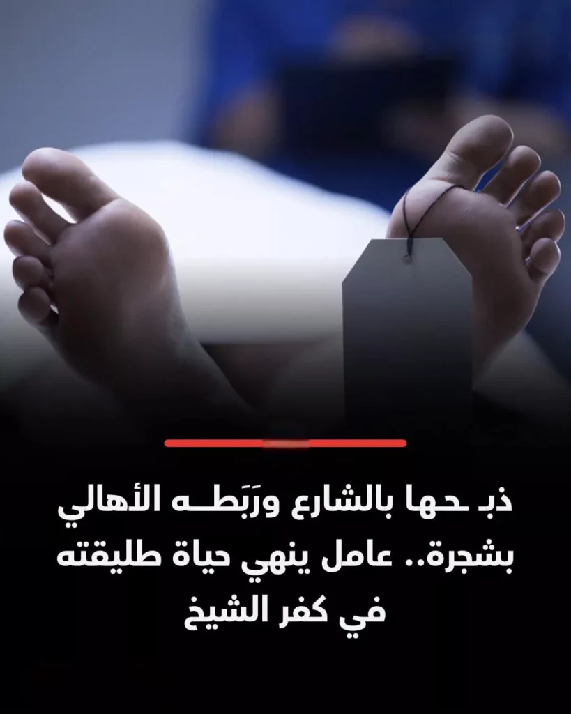 جريمة كفر الشيخ