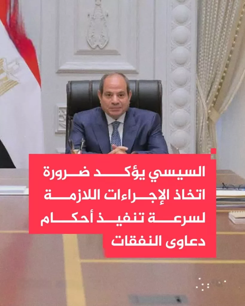 سرعة تنفيذ أحكام النفقات