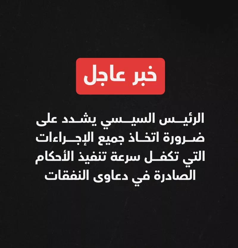 سرعة تنفيذ أحكام النفقة